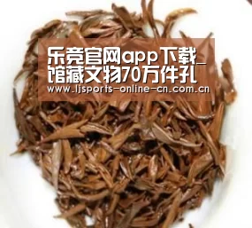 乐竞官网app下载_馆藏文物70万件孔子博物馆正式开馆(图2) 乐竞体育数据平台